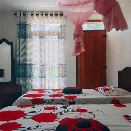 Pleasure Mount Homestay エッラ エクステリア 写真