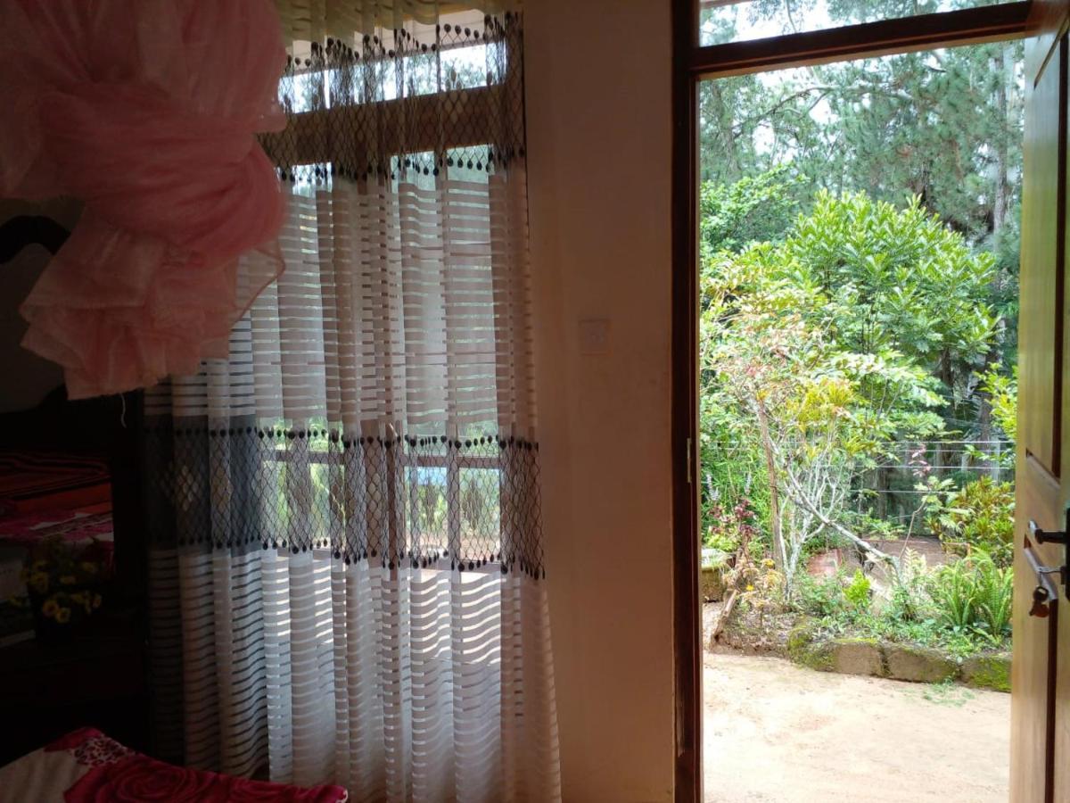 Pleasure Mount Homestay エッラ エクステリア 写真